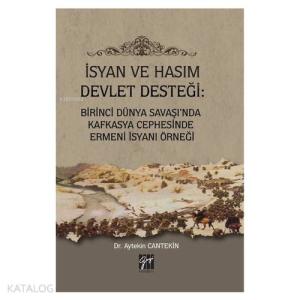 İsyan ve Hasım Devlet Desteği: Birinci Dünya Savaşı'nda Kafkasya Cephesinde Ermeni İsyanı Örneği