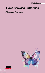 It Was Snowing Butterflies