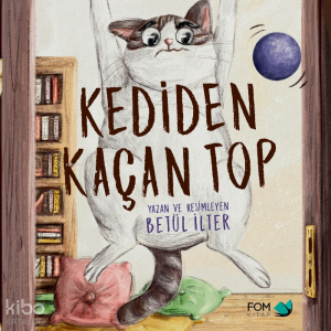 Kediden Kaçan Top