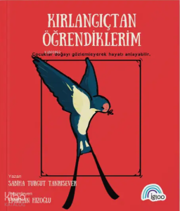Kırlangıçtan Öğrendiklerim