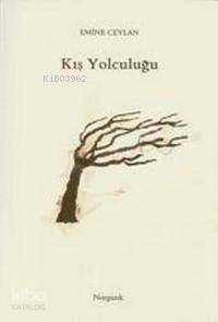 Kış Yolculuğu