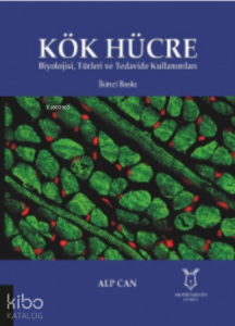 Kök Hücre Biyolojisi, Türleri ve Tedavide Kullanımları