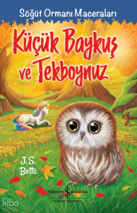 Küçük Baykuş ve Tekboynuz;Söğüt Ormanı Maceraları
