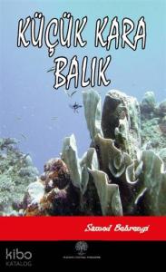 Küçük Kara Balık