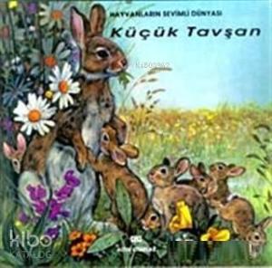 Küçük Tavşan