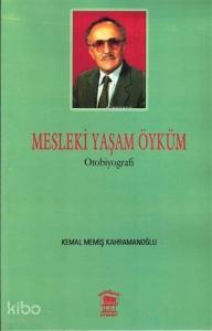 Mesleki Yaşam Öyküm