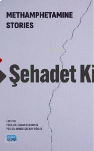 Methamphetamine Stories