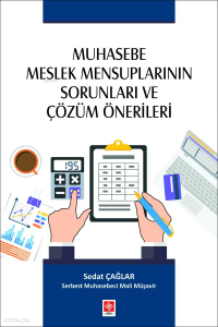 Muhasebe Meslek Mensuplarının Sorunları ve Çözüm Önerileri
