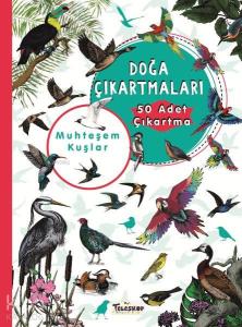 Muhteşem Kuşlar - Doğa Çıkartmaları