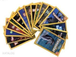 National Geographic Kids-Okuma Serisi Seviye 2 Seti-17 Kitap Takım