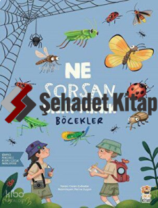 Ne Sorsan Bilir Minik - Böcekler