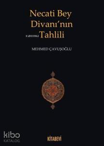 Necati Bey Divanı'nın Tahlili