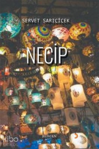 Necip