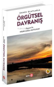 Örnek Olaylarla Örgütsel Davranış
