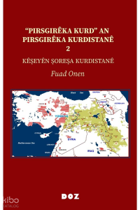 “Pirsgirêka Kurd” an Pirsgirêka Kurdistanê 2;Kêşeyên Şoreşa Kurdistanê