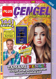 Plus Çengel Bulmaca 12