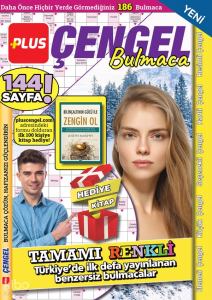 Plus Çengel Bulmaca 13