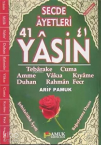 Secde Ayetleri 41 Yasin
