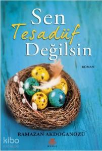 Sen Tesadüf Değilsin