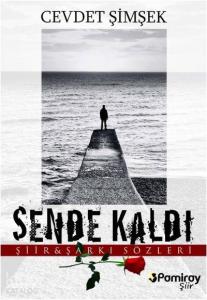 Sende Kaldı; Şiir - Şarkı Sözleri
