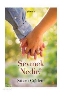 Sevmek Nedir?