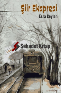Şiir Ekspresi