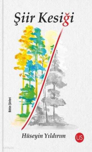 Şiir Kesiği