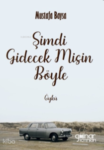 Şimdi Gidecek Misin Böyle