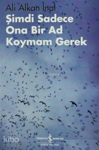 Şimdi Sadece Ona Bir Ad Koymam Gerek