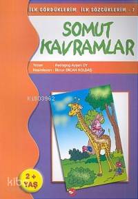 Somut Kavramlar