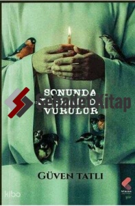 Sonunda Kuşlar da Vurulur