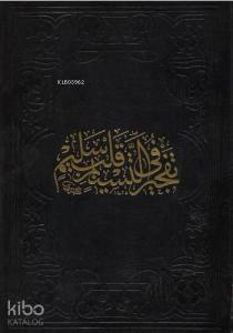 Tefcîru't Tesnîm (Ciltli); Mev'iza