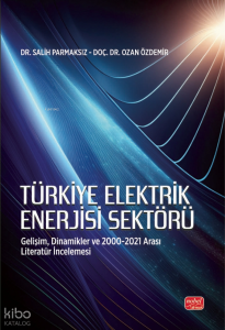 Türkiye Elektrik Enerjisi Sektörü;Gelişim, Dinamikler ve 2000-2021 Arası Literatür İncelemesi
