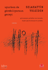 Uyurken de Görebiliyorsun Geceyi