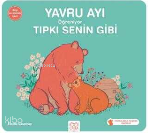 Yavru Ayı Öğreniyor Tıpkı Senin Gibi