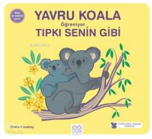 Yavru Koala Öğreniyor Tıpkı Senin Gibi