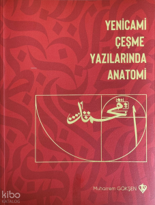 Yenicami Çeşme Yazılarında Anatomi