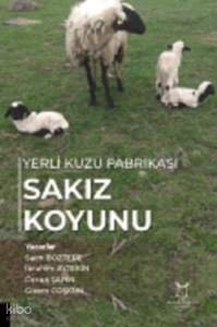 Yerli Kuzu Fabrikası Sakız Koyunu