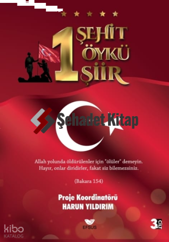 1 Şehit 1 Öykü 1 Şiir | Harun Yıldırım | Efsus Yayınları