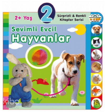 2+ Yaş Sevimli Evcil Hayvanlar