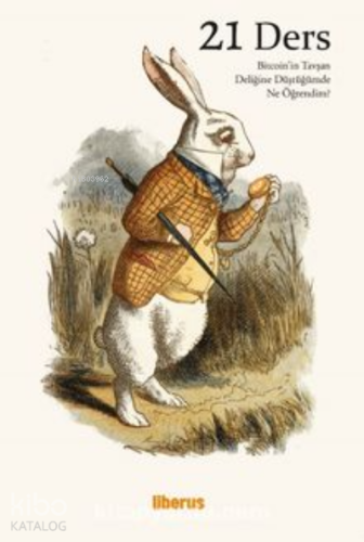 21 Ders: Bitcoin’in Tavşan Deliğine Düştüğümde Ne Öğrendim?