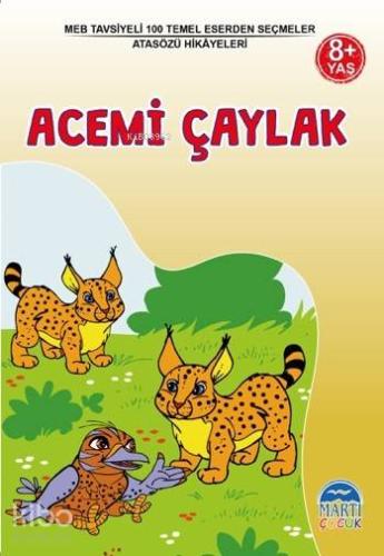 3 Sınıf 100 Temel Eserden Seçmeler; Acemi Çaylak | Kolektif | Martı Ço