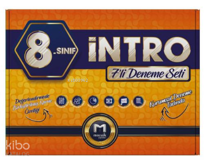 8.Sınıf Mozaik İntro Deneme 7 Li - 2023