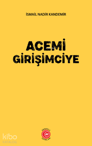 Acemi Girişimciye