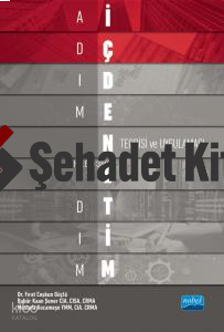 Adım Adım İç Denetim Teorisi ve Uygulaması