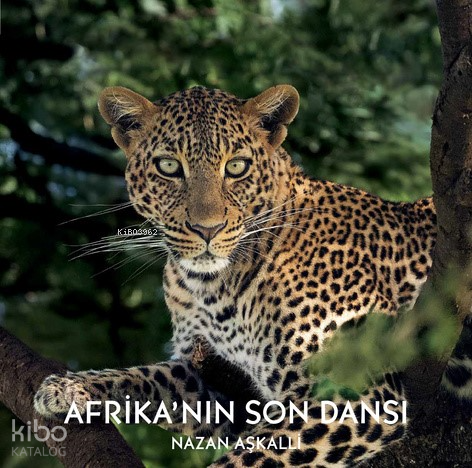 Afrika’nın Son Dansı