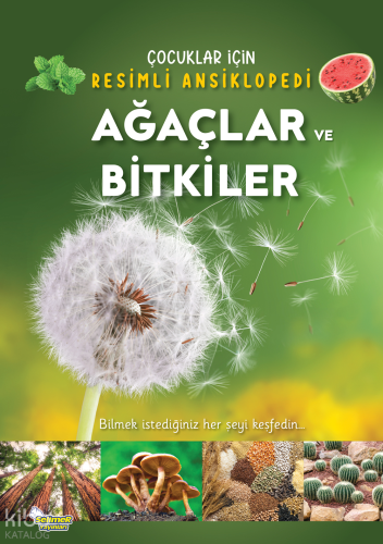 Ağaçlar ve Bitkiler | Kolektif | Selimer Yayınları