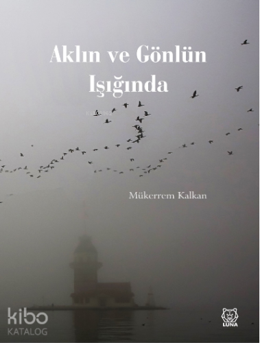 Aklın ve Gönlün Işığında