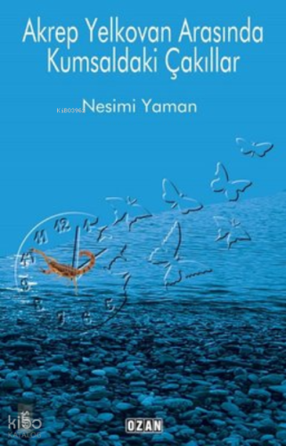 Akrep Yelkovan Arasında Kumsaldaki Çakıllar