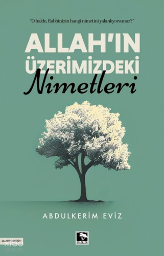 Allah'ın Üzerimizdeki Nimetleri | Abdülkerim Eviz | Çınaraltı Yayın Da